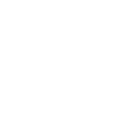 Massive Financial lion emblem